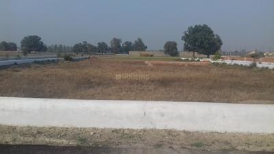 Project Image of 999.97 - 3000.01 Sq.ft Residential Plot Plot for buy in Dev Puri