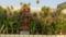 Srishti Swarnima Era phase VI Landscaped Gardens 2