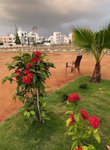 The Icon Eden Others 1