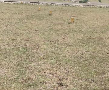 Project Image of 841.0 - 1280.0 Sq.ft Residential Plot Plot for buy in Sri Sathya Nagar