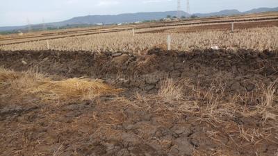 Project Image of 1089.0 - 5445.0 Sq.ft Residential Plot Plot for buy in Propzone Residential Plots In Ranjanpada Navi Mumbai