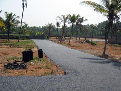 Project Image of 1572.0 - 3571.0 Sq.ft Residential Plot Plot for buy in Coral Gardens