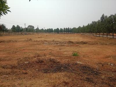 Project Image of 1620.0 - 1800.0 Sq.ft Residential Plot Plot for buy in Lighthouse Pharma Green City
