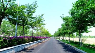 Project Image of 1640.42 - 6242.42 Sq.ft Residential Plot Plot for buy in Aparna Western Meadows Phase IV