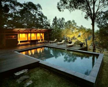 Olive Woods Swimming Pool 2