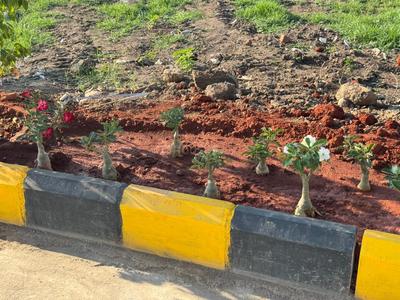 Project Image of 587.0 - 1945.0 Sq.ft Residential Plot Plot for buy in Harithams SRT Pride