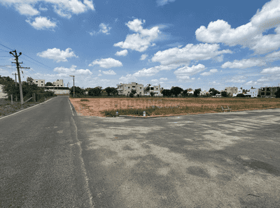 Project Images