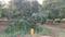 Avani Sri Yadadri Gardens Plot 1