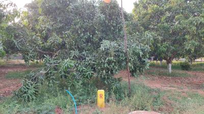 Project Image of 1215.0 - 2997.0 Sq.ft Residential Plot Plot for buy in Avani Sri Yadadri Gardens