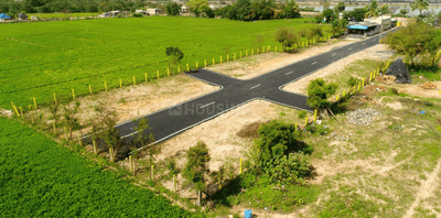 Project Images