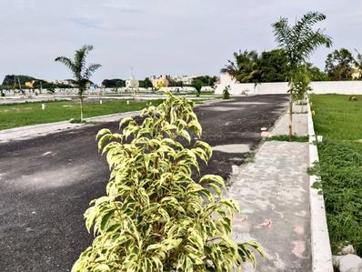 Project Image of 800.0 - 1400.0 Sq.ft Residential Plot Plot for buy in Shanthy Nakshatra Enclave