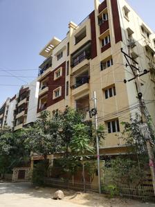 Shubham Matrix Images for Project 1