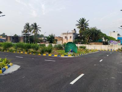 Project Images