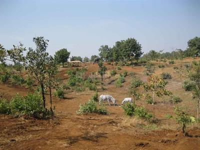Project Image of 0.0 - 2200.0 Sq.ft Residential Plot Plot for buy in Disha Wellness City