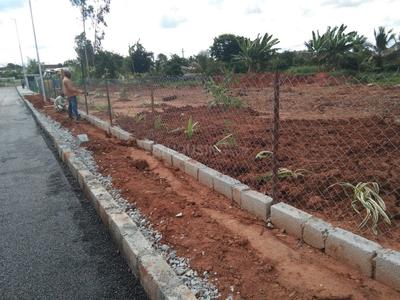 Pionier Greendales Phase II Elevation 1