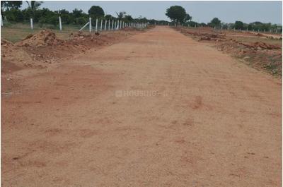 Building Gold 1 Elevation 1