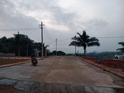 Gallery Cover Pic of Viraj Enclave