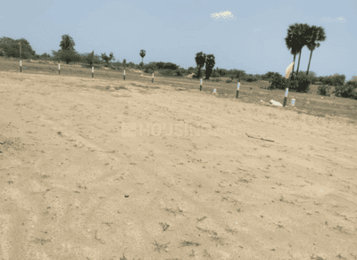 Project Images