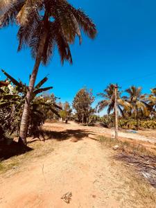 Project Image of 6000.0 - 12000.0 Sq.ft Residential Plot Plot for buy in Navile Farms 