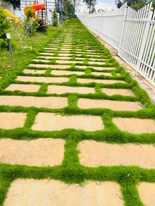 Project Image of 1410.0 - 2400.0 Sq.ft Residential Plot Plot for buy in MGS Shreela Airview Enclave