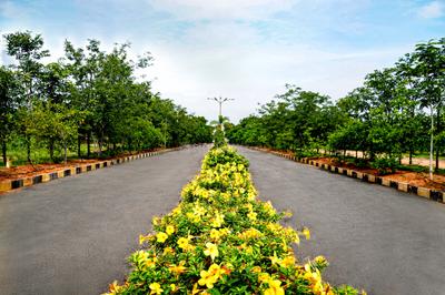 Project Image of 1350.0 - 3600.0 Sq.ft Residential Plot Plot for buy in Vinayaka Golden County