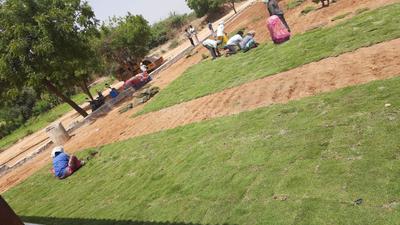 Project Image of 1413.0 - 4050.0 Sq.ft Residential Plot Plot for buy in Hill County