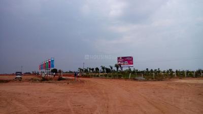 Project Image of 1200.0 - 2400.0 Sq.ft Residential Plot Plot for buy in Max Dharani