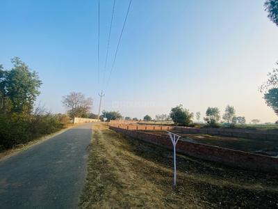 Project Image of 600.0 - 5000.0 Sq.ft Residential Plot Plot for buy in Unite Vision Vatican City