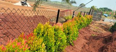 Project Image of 1557.0 - 6624.0 Sq.ft Residential Plot Plot for buy in Landmark West City Grand