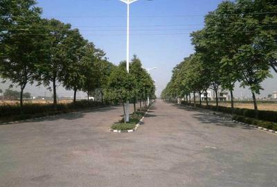 Project Image of 540.0 - 9000.0 Sq.ft Residential Plot Plot for buy in Parsvnath Paliwal City