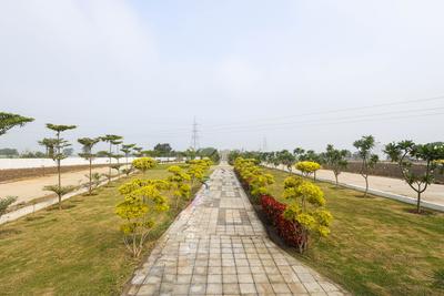Project Image of 600.0 - 1750.0 Sq.ft Residential Plot Plot for buy in Om Swapn City