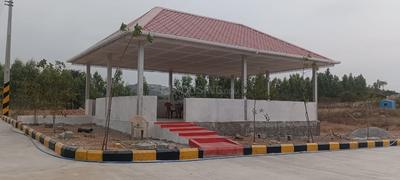 Gallery Cover Pic of Indo Orr East Organica