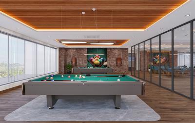Western Tapovan Billiards/Snooker Table 2