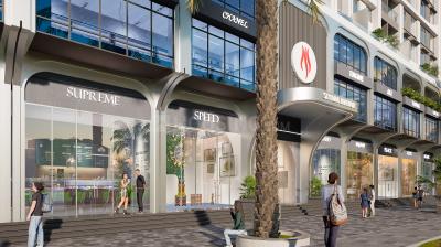 Project Image of 452.0 - 690.0 Sq.ft 1 BHK Apartment for buy in Shakti Siyara Avenue