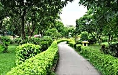Krishna Nagar Landscape Garden and Tree Planting 1