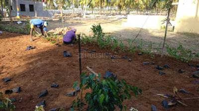 Project Image of 600.0 - 4800.0 Sq.ft Residential Plot Plot for buy in Accord Ranch City