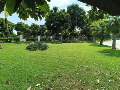 Project Image of 900.0 - 9000.0 Sq.ft Residential Plot Plot for buy in AMG Palm Garden