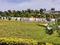 Mayon Vriksham Grande Children's play area 1