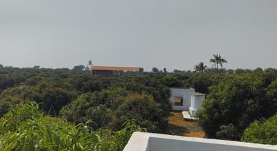 Vision Aashritha Mango Garden Plot 1