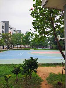 Project Image of 618.0 - 1389.0 Sq.ft 2 BHK Apartment for buy in Casagrand Miro
