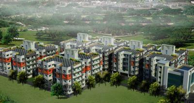 Prabhu Orchard Phase 1 Images for Project 1