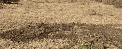 Project Image of 895.56 - 1655.17 Sq.ft Residential Plot Plot for buy in Nisarg Homes 3