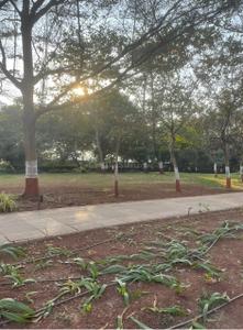 Project Image of 1110 Sq.ft 2 BHK Apartment / Flat for sale in Hinjawadi for Rs. 11200000