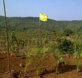 Project Image of 0.0 - 1791.98 Sq.ft Residential Plot Plot for buy in Sai Shrishti Developers Bollywood Film City