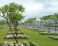 Kashidham Developers Landscape Garden and Tree Planting 1