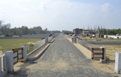 Project Image of 6646.0 - 14546.0 Sq.ft Residential Plot Plot for buy in Olive Sands