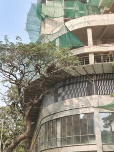 Project Image of 306.02 - 685.02 Sq.ft 2 BHK Apartment for buy in Shreeji Eternity Wing A Wing B Wing C