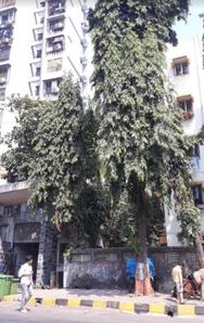 Project Image of 890.0 - 1070.0 Sq.ft 2 BHK Apartment for buy in Bhoomi Diamond