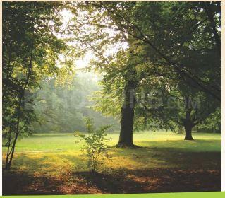 Gateway Meadows Phase 3 Amenities 3