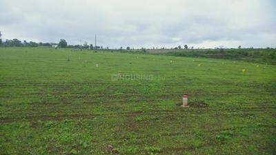 Project Image of 0.0 - 1200.0 Sq.ft Residential Plot Plot for buy in Regal Avenue